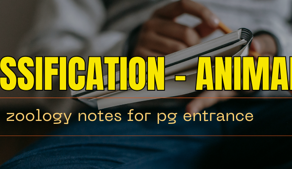 Animalia Classification