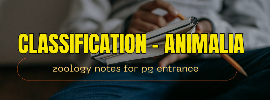 Animalia Classification