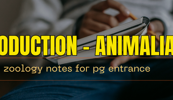 Kingdom Animalia - Introduction